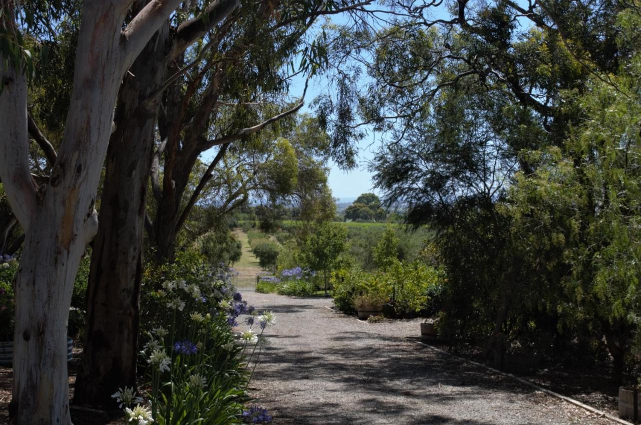 The Farm Willunga Bed & Breakfast Exterior photo